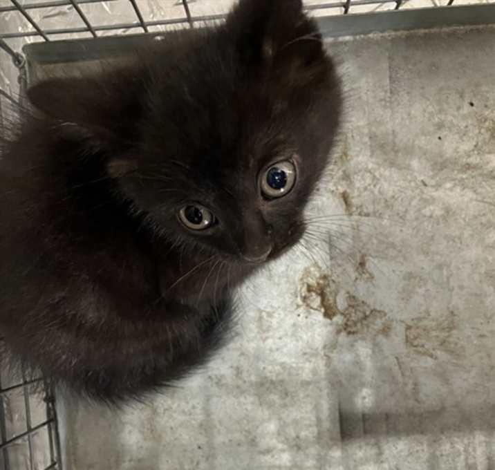 Photo of PENNY