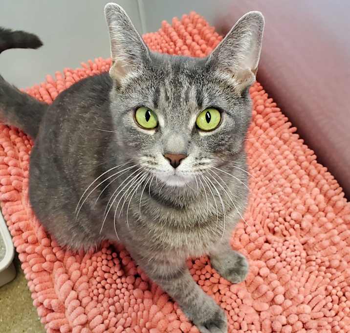 Photo of Roxie