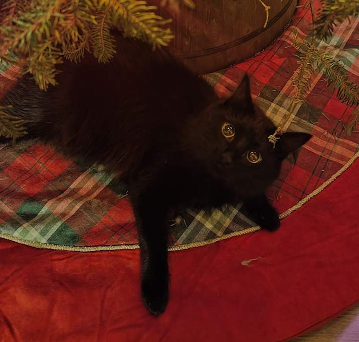 Photo of Salem
