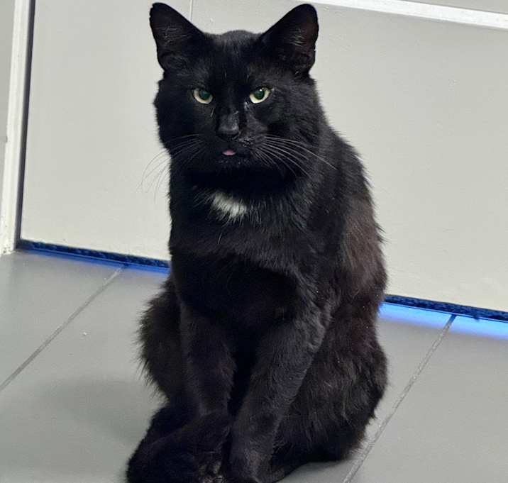 Photo of Bertrum