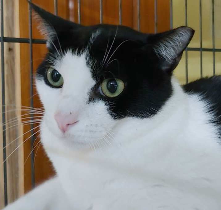 Photo of Jerry