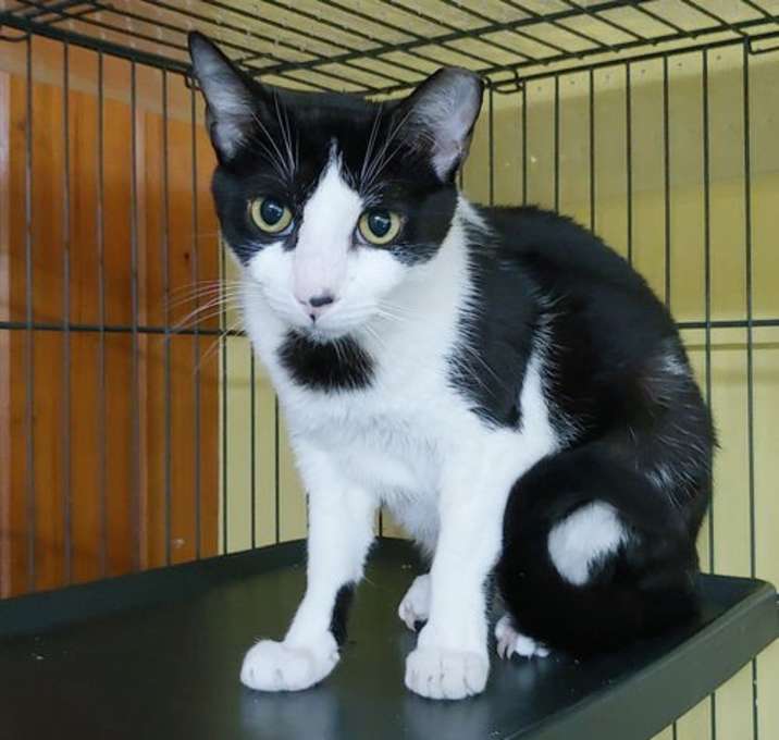 Photo of Tom