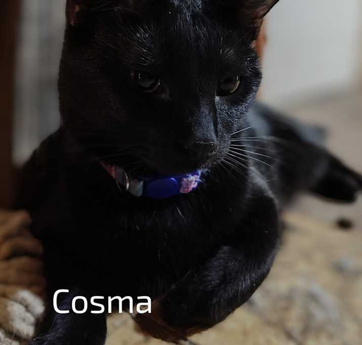 Photo of Cosma and wanda