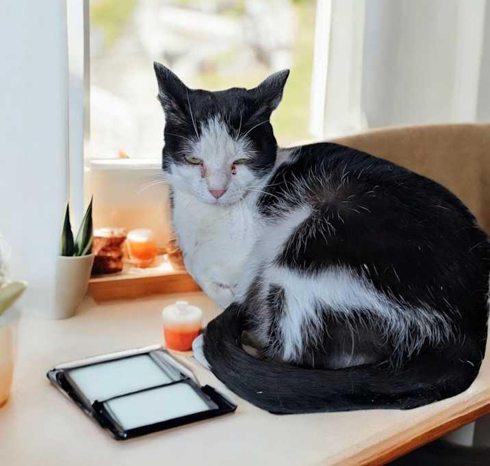Photo of Minnie