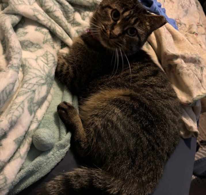 Photo of Roxy