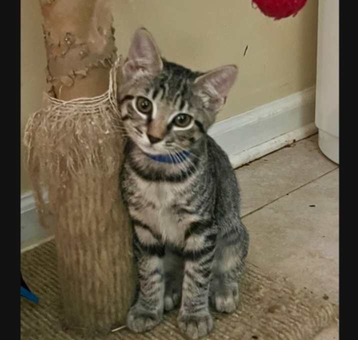 Photo of Luther