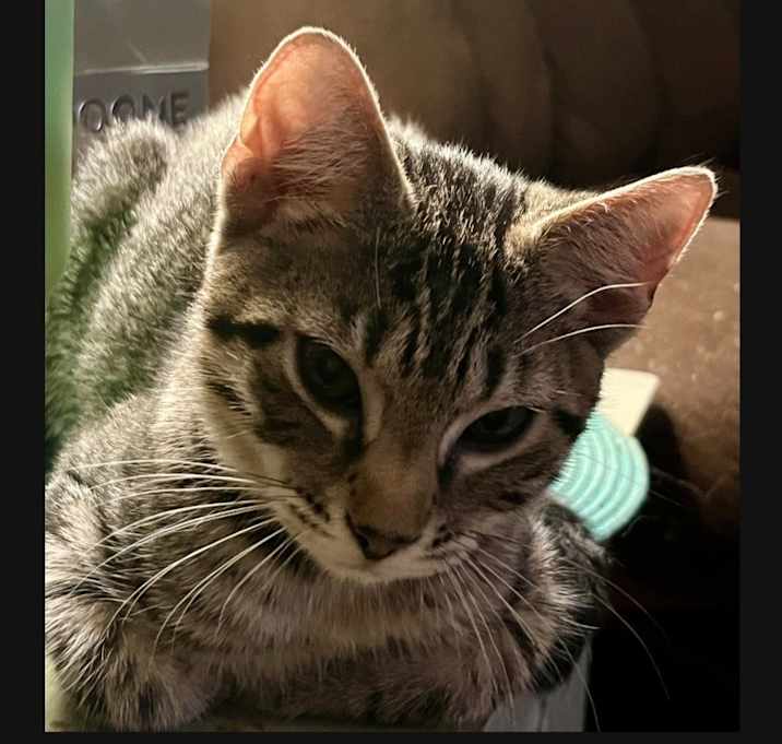Photo of Lexi