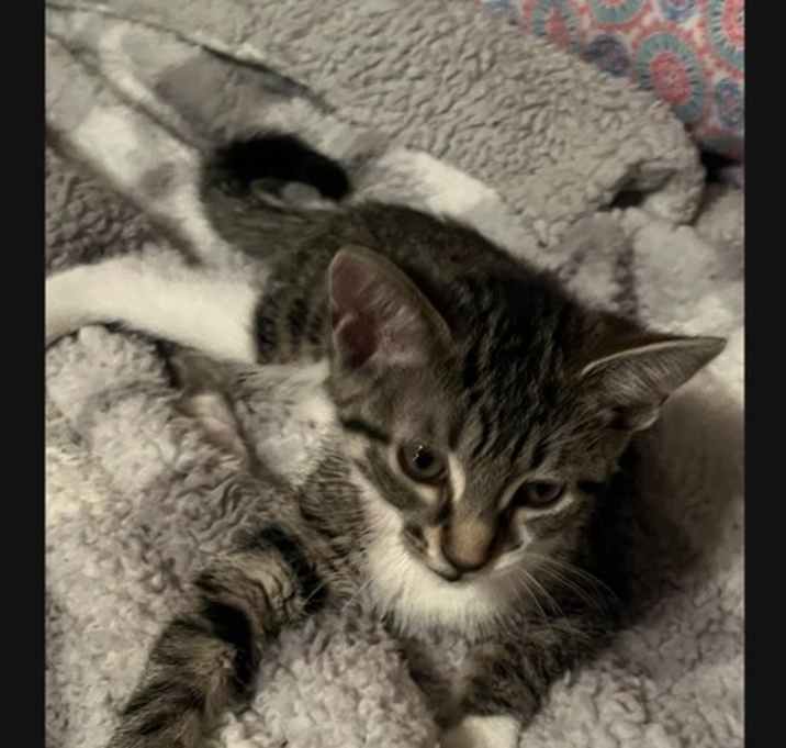Photo of Willow