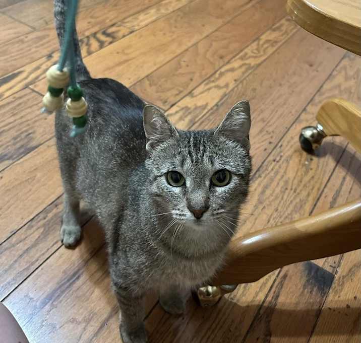 Photo of Yuna