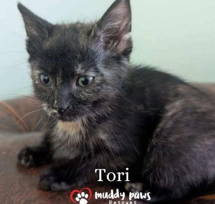Photo of West O' Sisters:  Tori