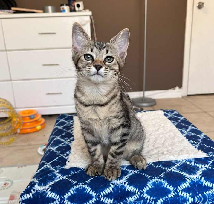 Photo of Etta