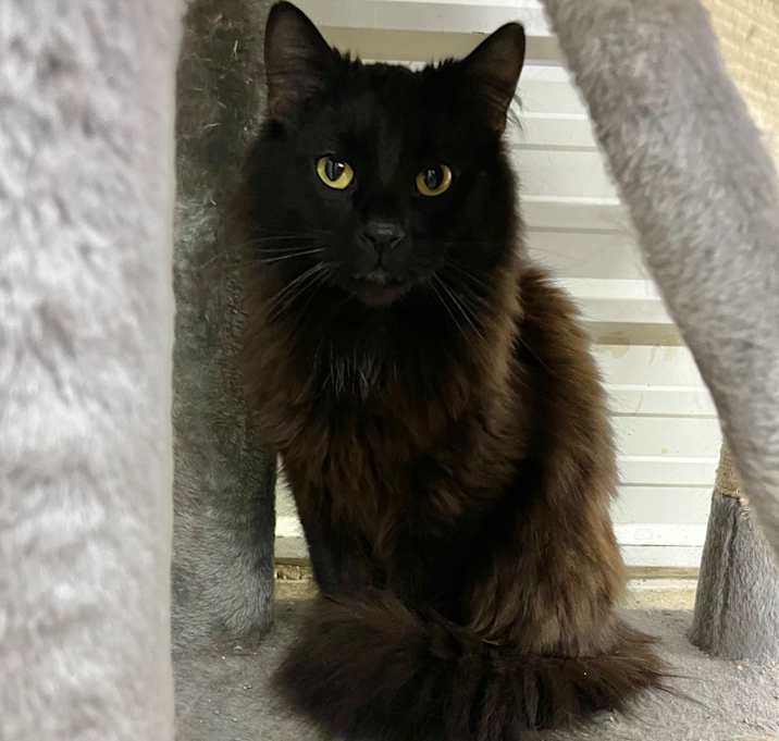 Photo of Bubba