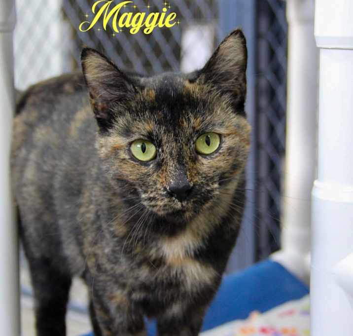Photo of Maggie