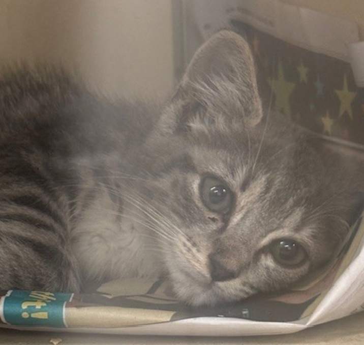 Photo of Fuzzy