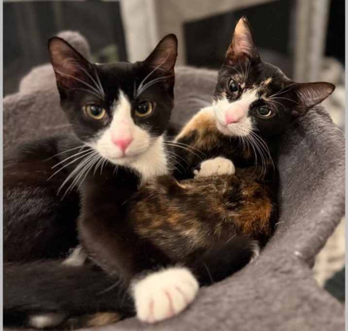 Photo of Fiona & Finn
