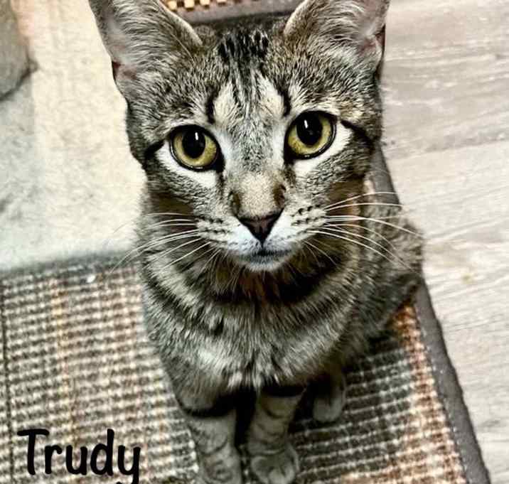 Photo of Trudy