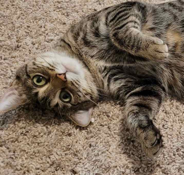 Photo of Mocha