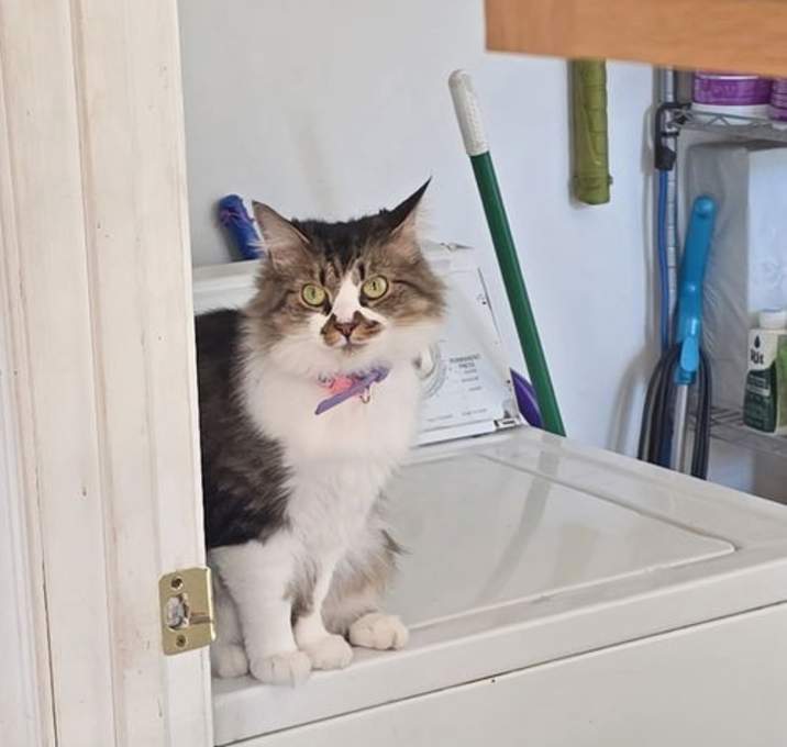 Photo of *Smudge