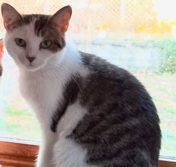 Photo of Cora