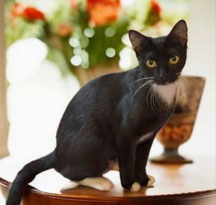 Photo of Cajun