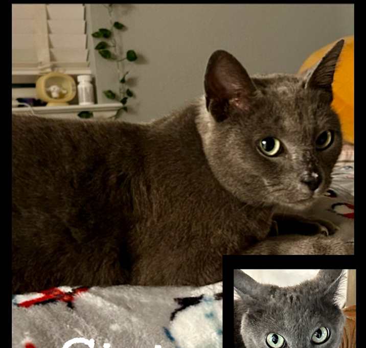 Photo of Gigi