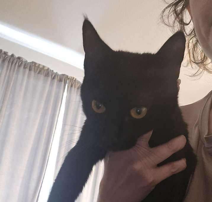 Photo of Bean