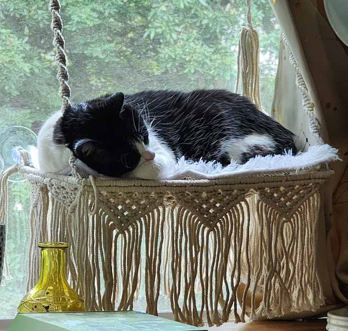 Photo of Ichabod