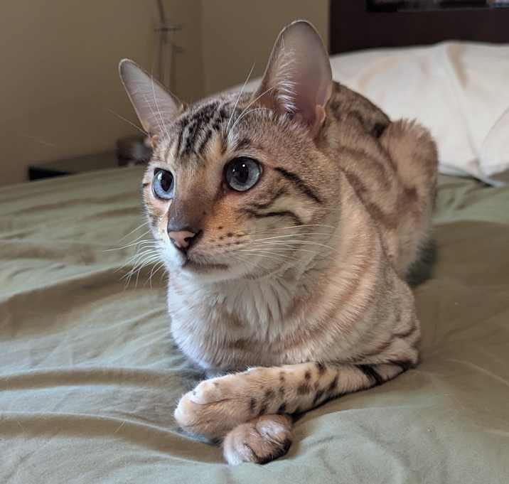 Photo of Luca
