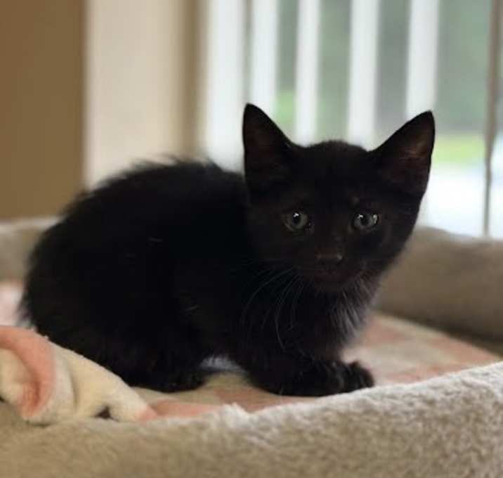 Photo of Freddy