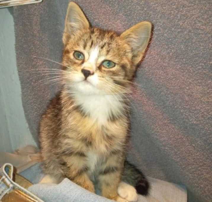 Photo of Mister Pepper