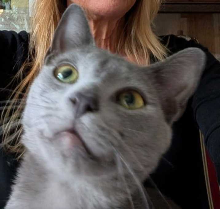 Photo of Licorice
