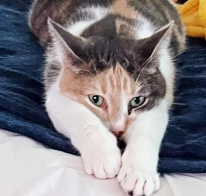 Photo of Marley