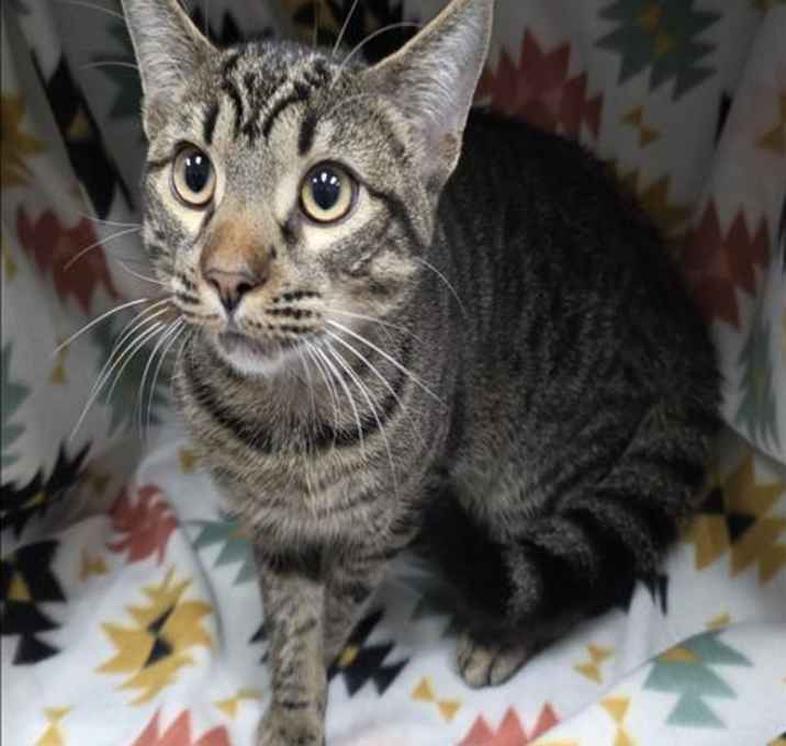 Photo of OSCAR