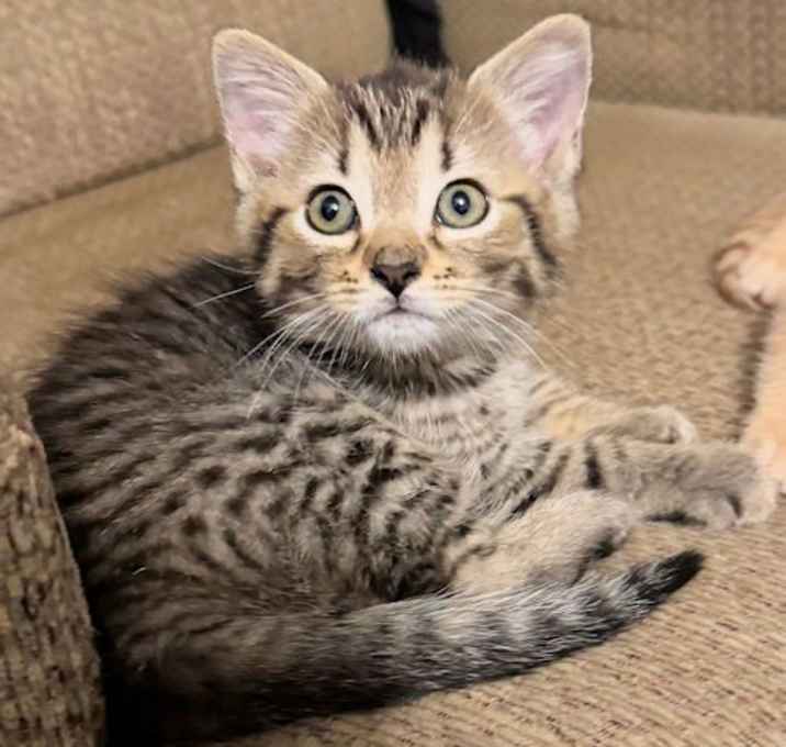 Photo of Scrat