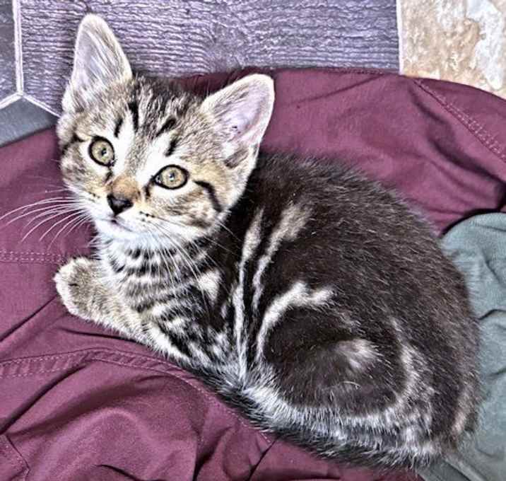 Photo of Miss Marple