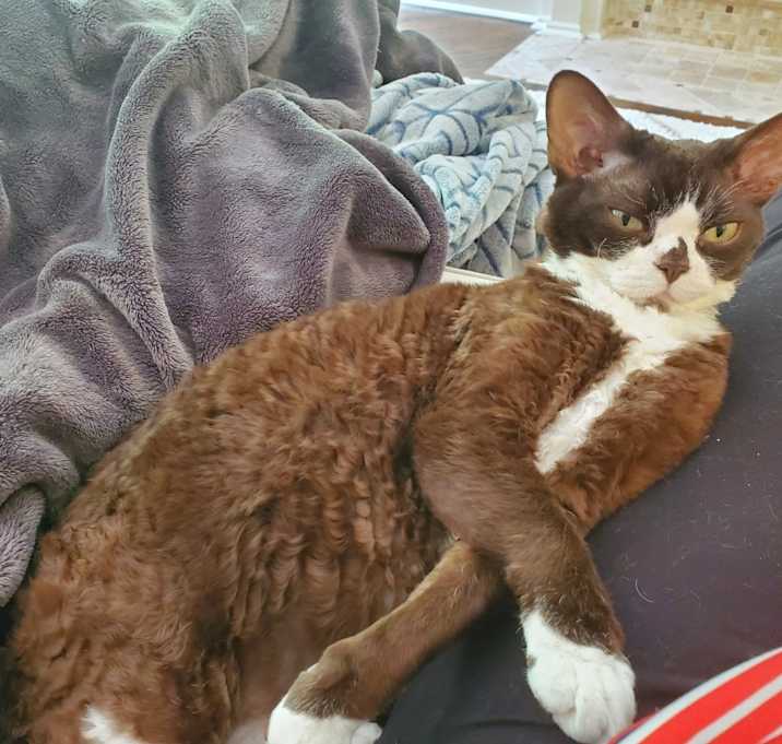 Photo of Monty