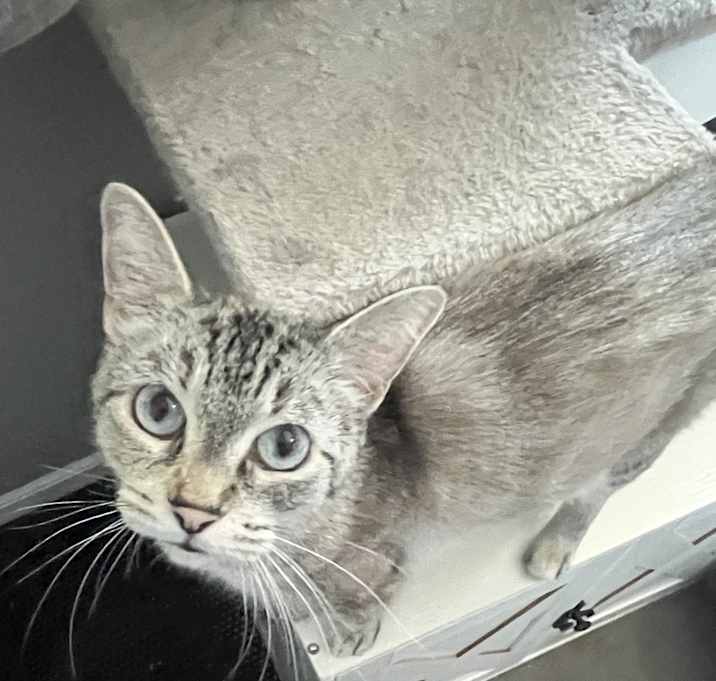 Photo of Alice (25-059 C)