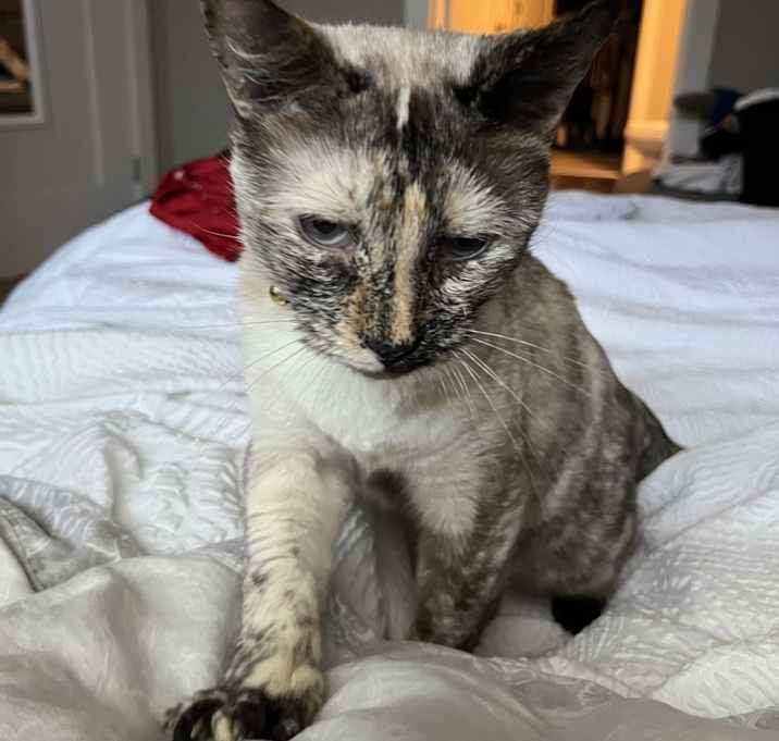 Photo of Libbey