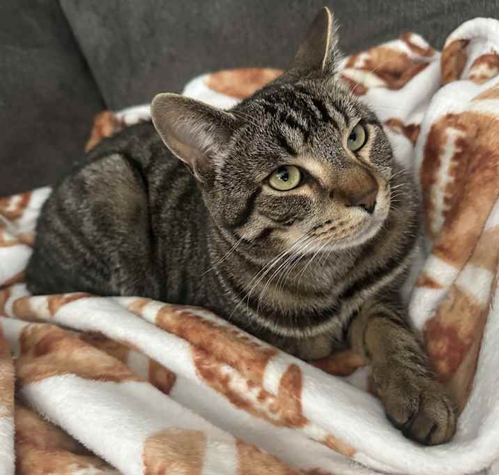 Photo of Oakley