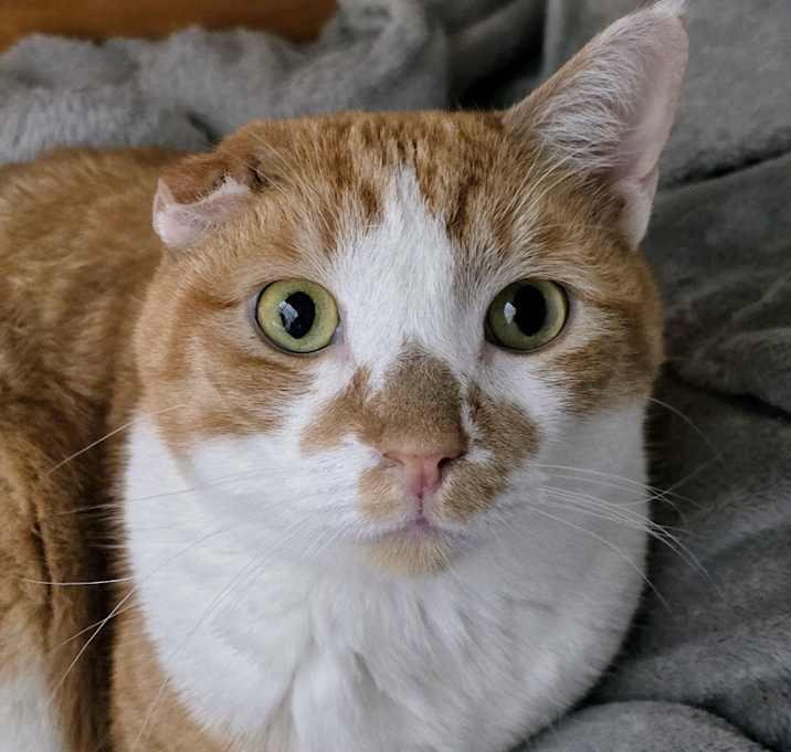Photo of Theo