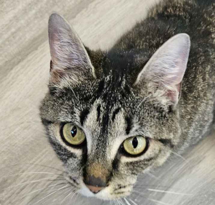 Photo of Squeak