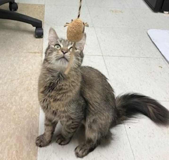 Photo of SUKI