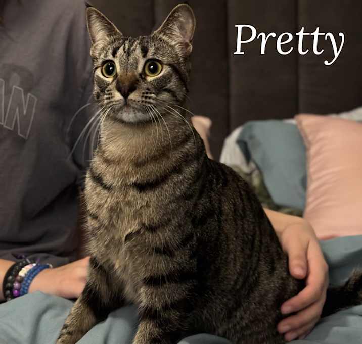 Photo of Pretty