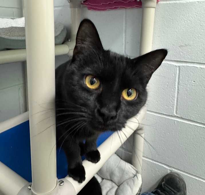 Photo of Persephone