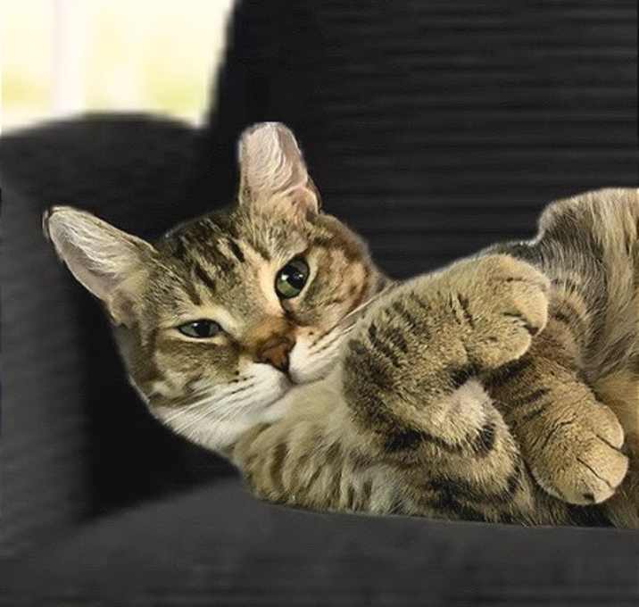 Photo of Louizie