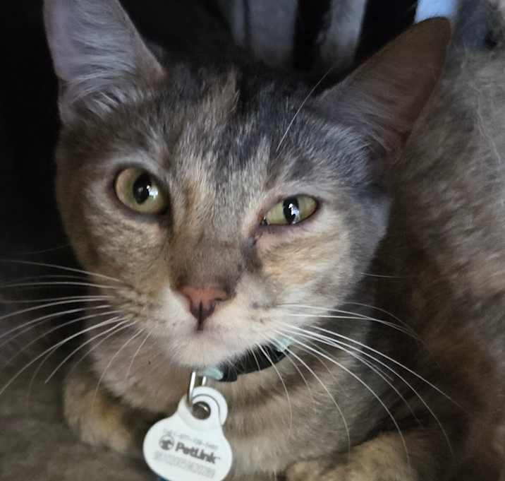 Photo of Crystal