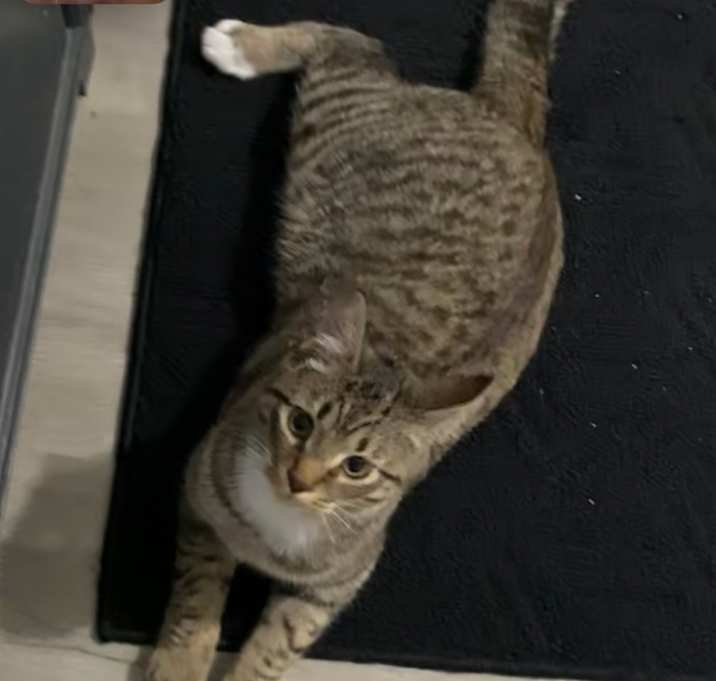Photo of Leo