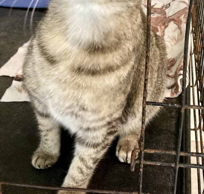 Photo of MAXINE