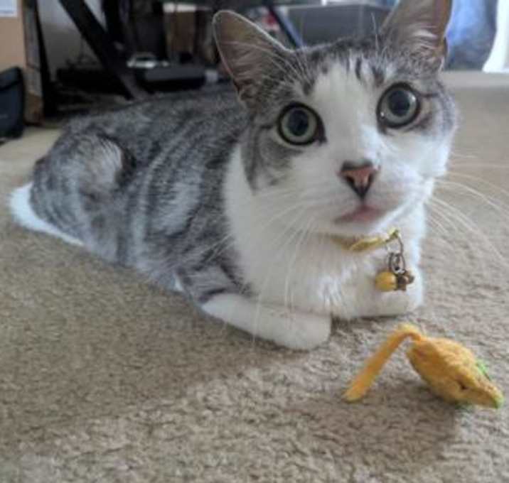 Photo of Wyatt