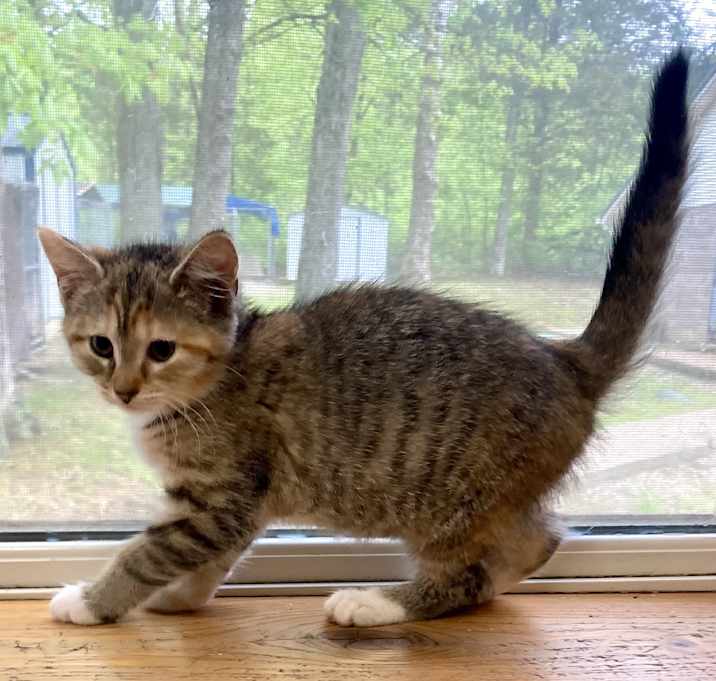 Photo of FIFI